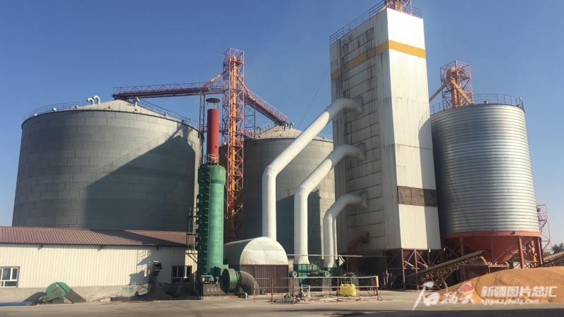 新疆自治区建成84个粮食产后服务中心 实现产粮大县全覆盖